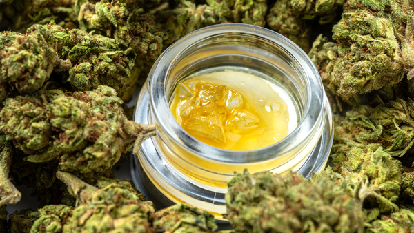 A macro view of premium cannabis concentrate resting in a glass container, surrounded by fresh hemp flower.