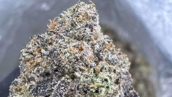 Best Wholesale THCA Flower
