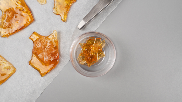 Close-up of premium cannabis concentrate shards on parchment paper with tweezers, showcasing texture and clarity.