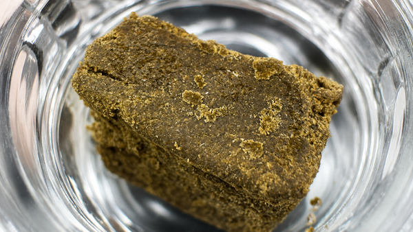 Close up of pressed bubble hash showing natural color and texture used for grading.