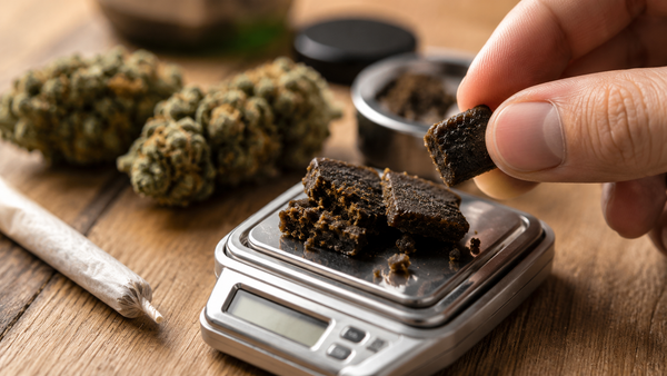 Hash pieces on a scale illustrating proper hash dosage for smoking.