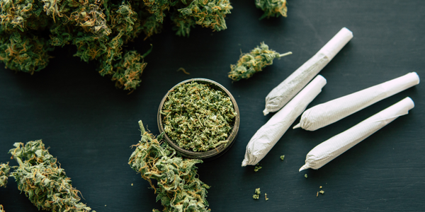 Is THCA Flower Legal? Everything You Need To Know