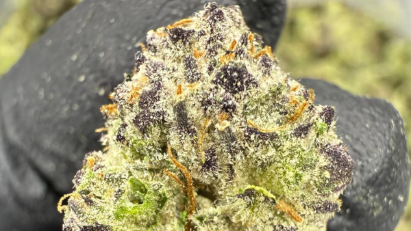 Most Potent THCA Products