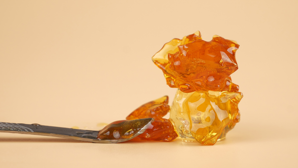 Premium cannabis concentrate extract on a dab tool, representing Gold Canna hash and concentrate quality.