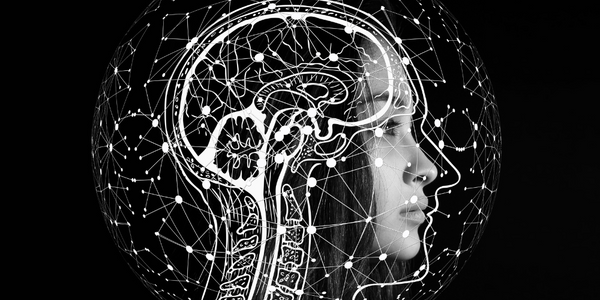 Debunking the Myth: Does Cannabis Really Kill Brain Cells?