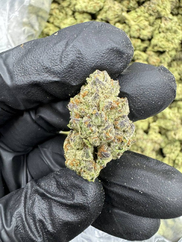 Apple Tart - THCA BULK FLOWER - AA INDOOR