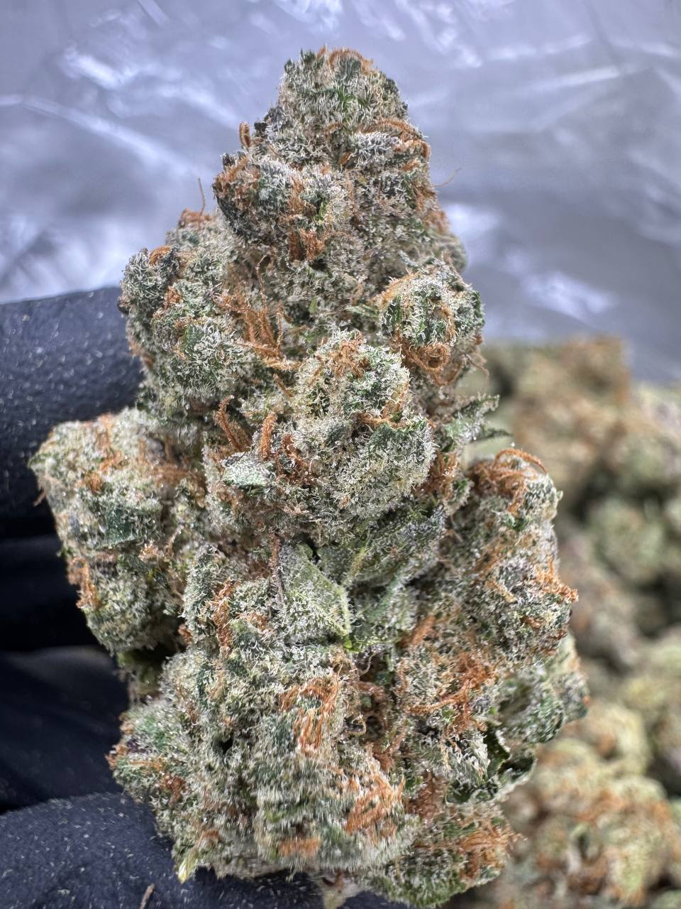 Blackberry Super Boof - THCA BULK FLOWER - EXOTIC INDOOR