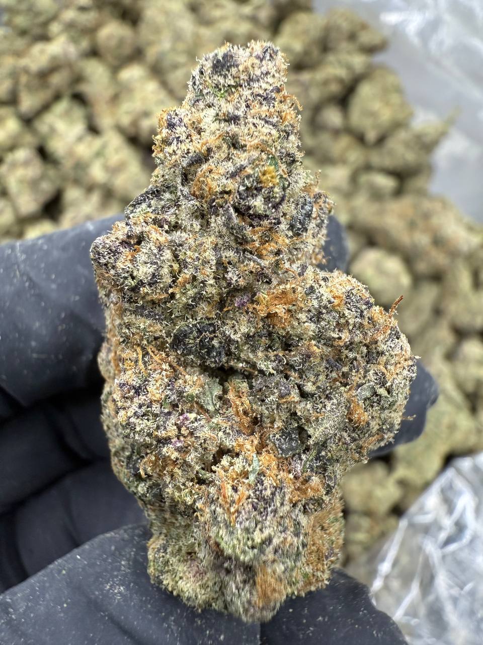 Blackberry Superboof - THCA FLOWER - EXOTIC INDOOR