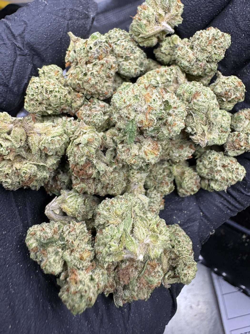 Blueberry Muffin - THCA BULK FLOWER - AA INDOOR SMALLS