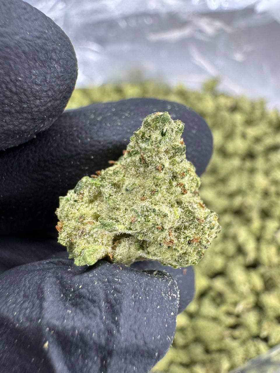 Blueberry Muffin - Gold Nuggets - THCa Flower TOP SHELF SMALLS