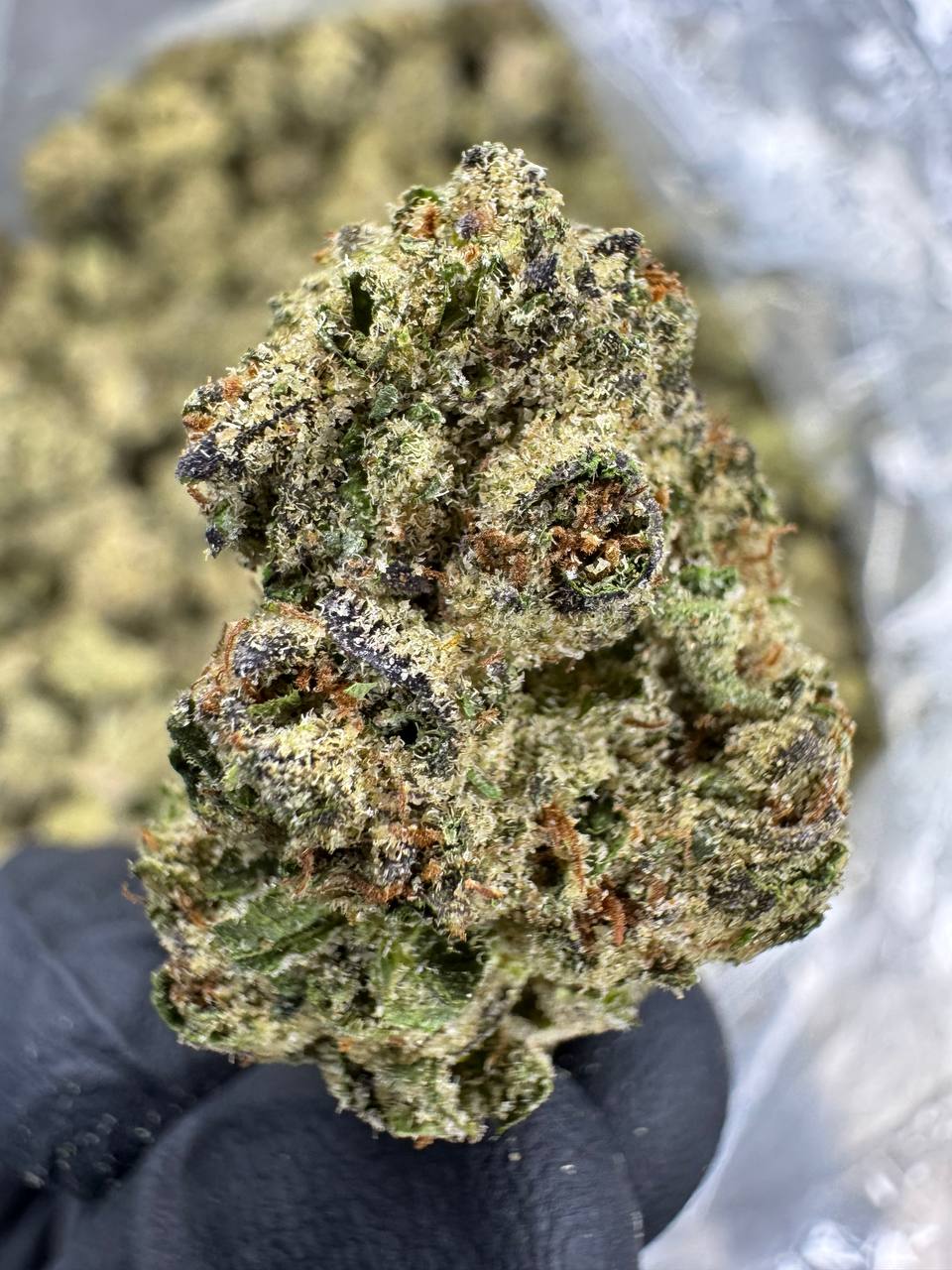Glitterbomb - THCA BULK FLOWER - AA INDOOR
