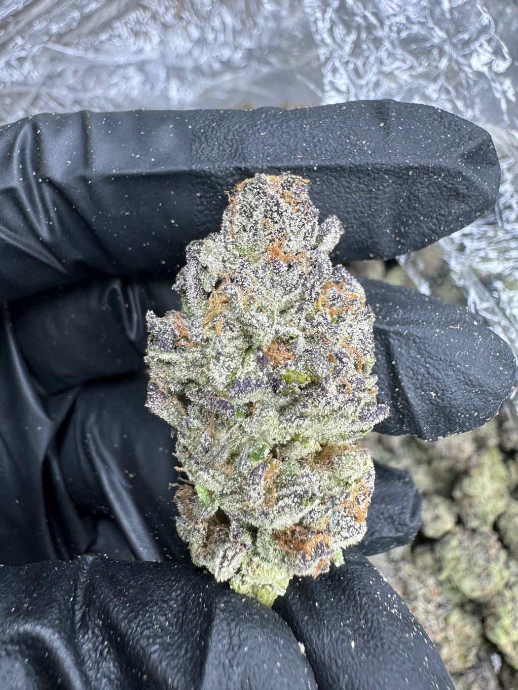 Purple Octane- THCA BULK FLOWER - AA INDOOR