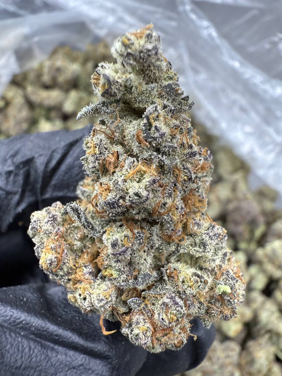 Jealousy - THCA BULK FLOWER - EXOTIC INDOOR