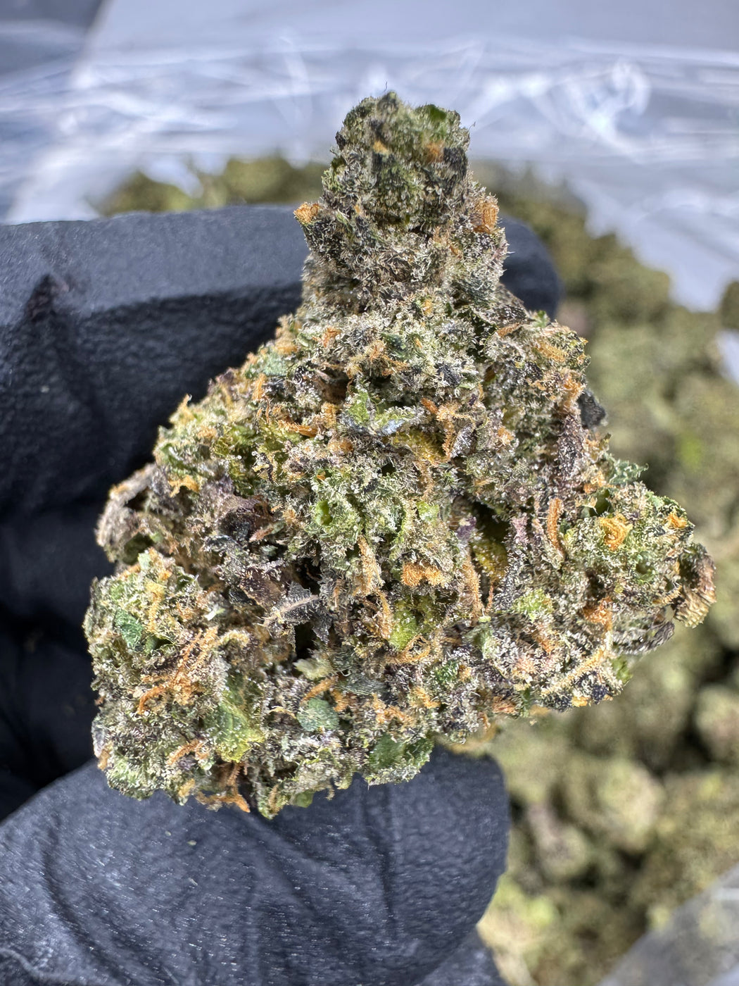 Jokers - THCA FLOWER - AA INDOOR