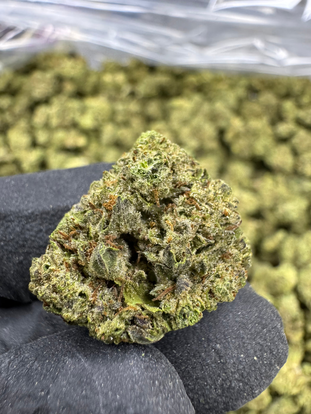 Lemon Cherry Gelato - THCA BULK FLOWER SMALLS - AA INDOOR