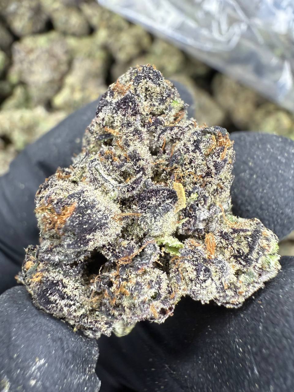 Lemon Cherry Gelato - THCA BULK FLOWER - EXOTIC INDOOR