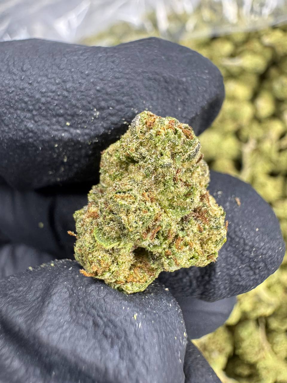 Lemon Cherry Gelato - Gold Nuggets - THCa Flower TOP SHELF SMALLS