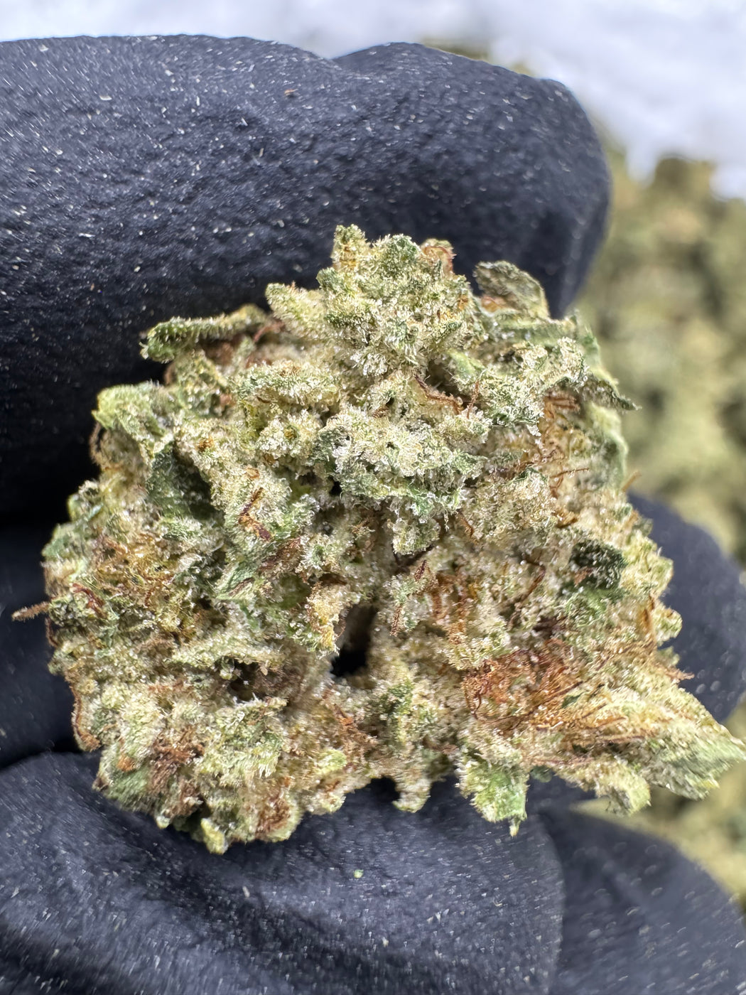 London Jelly - THCA BULK FLOWER - TOP SHELF SMALLS