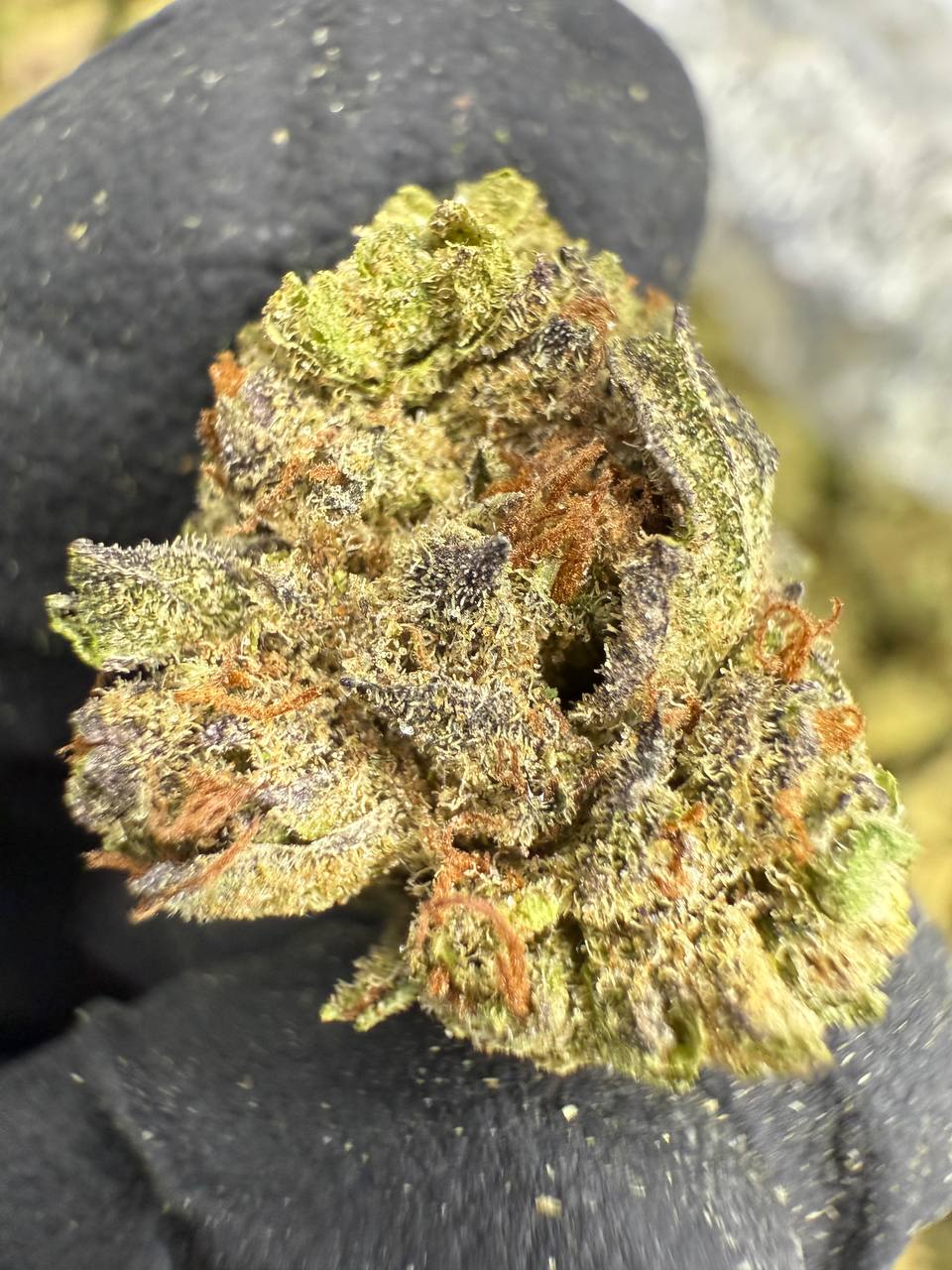 Mac 1 - Gold Nuggets - THCa Flower TOP SHELF SMALLS