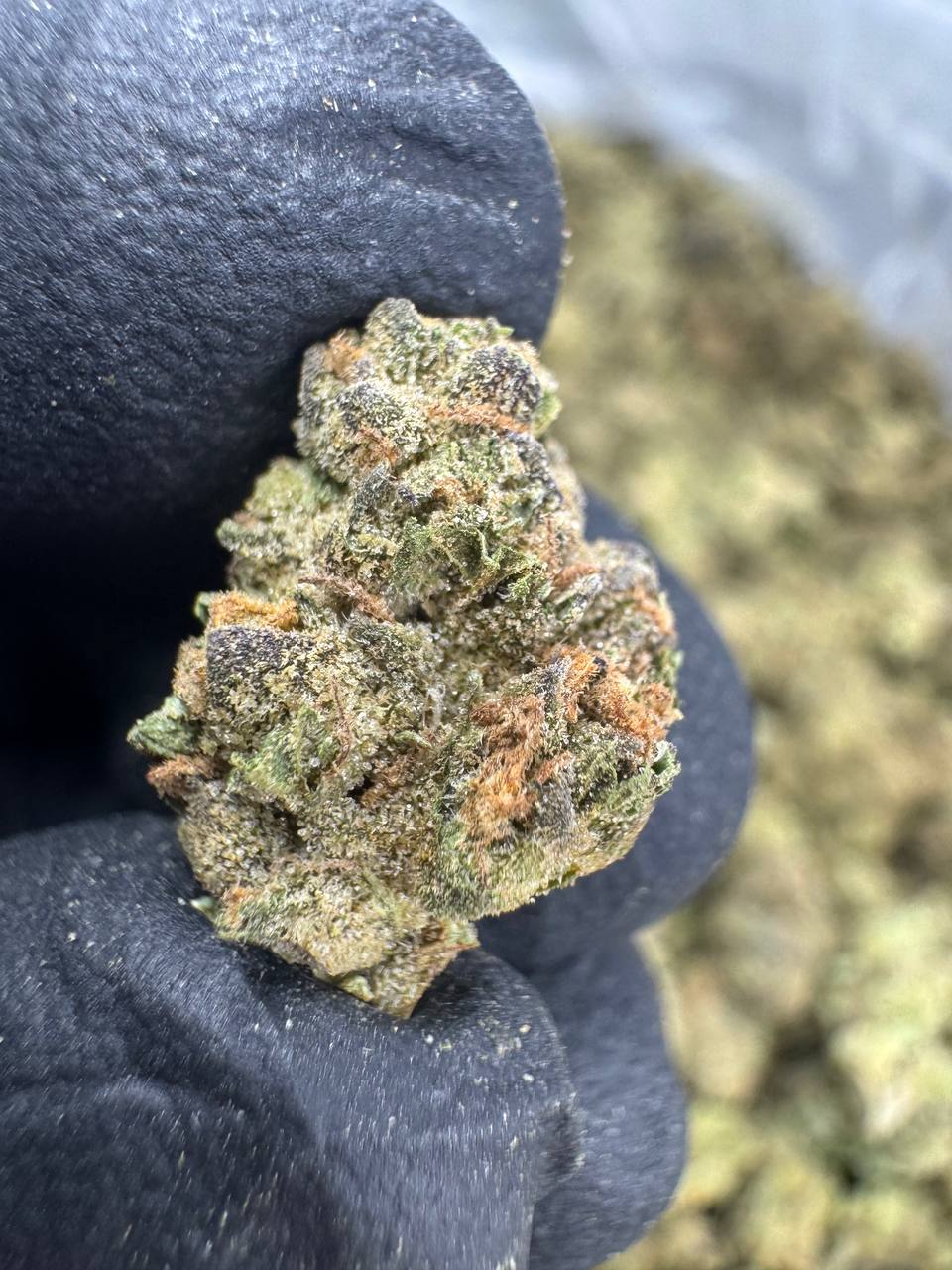 Permanent Marker - THCA BULK FLOWER - TOP SHELF SMALLS