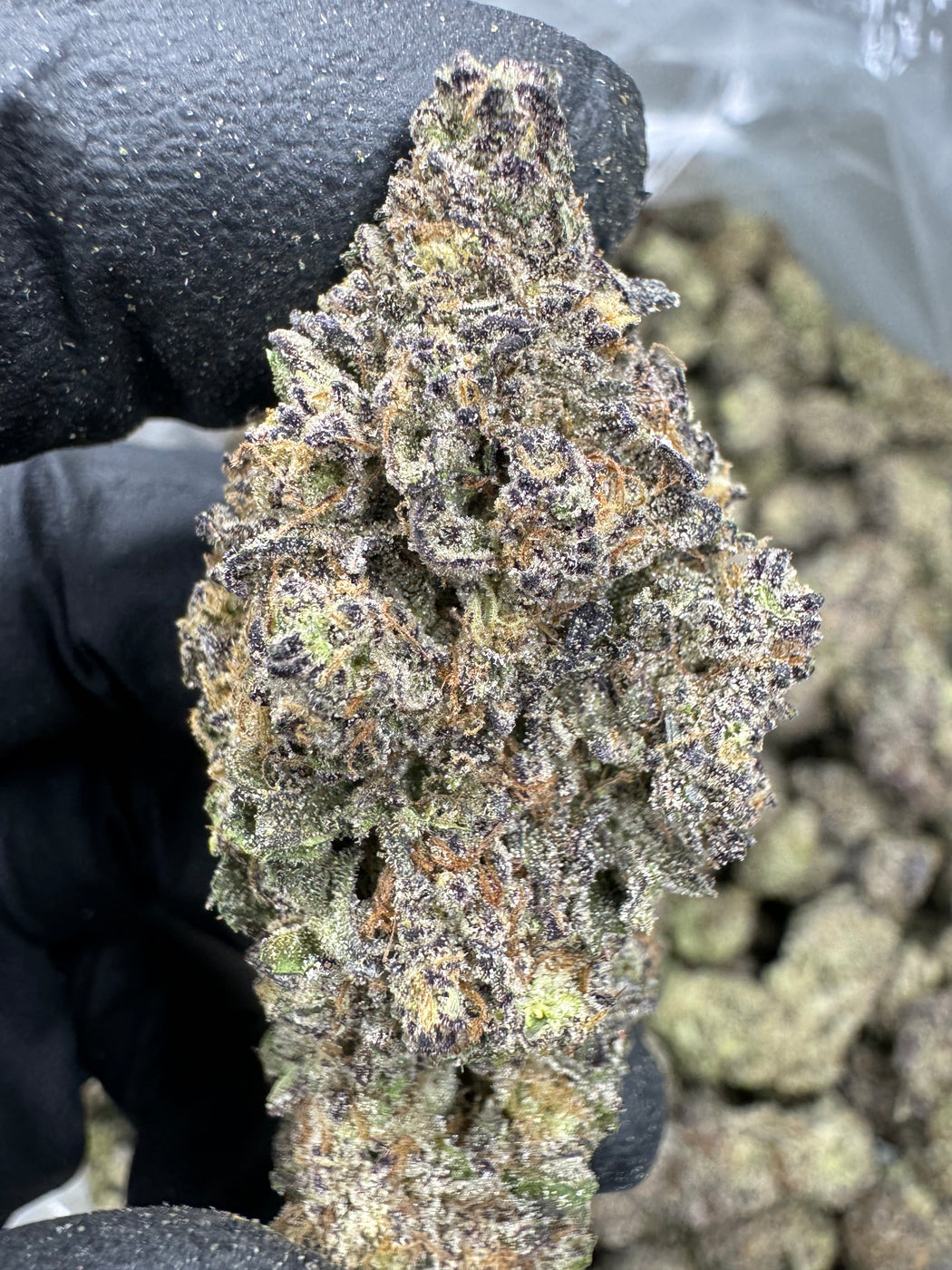 Purple Octane- THCA BULK FLOWER -  AAA INDOOR