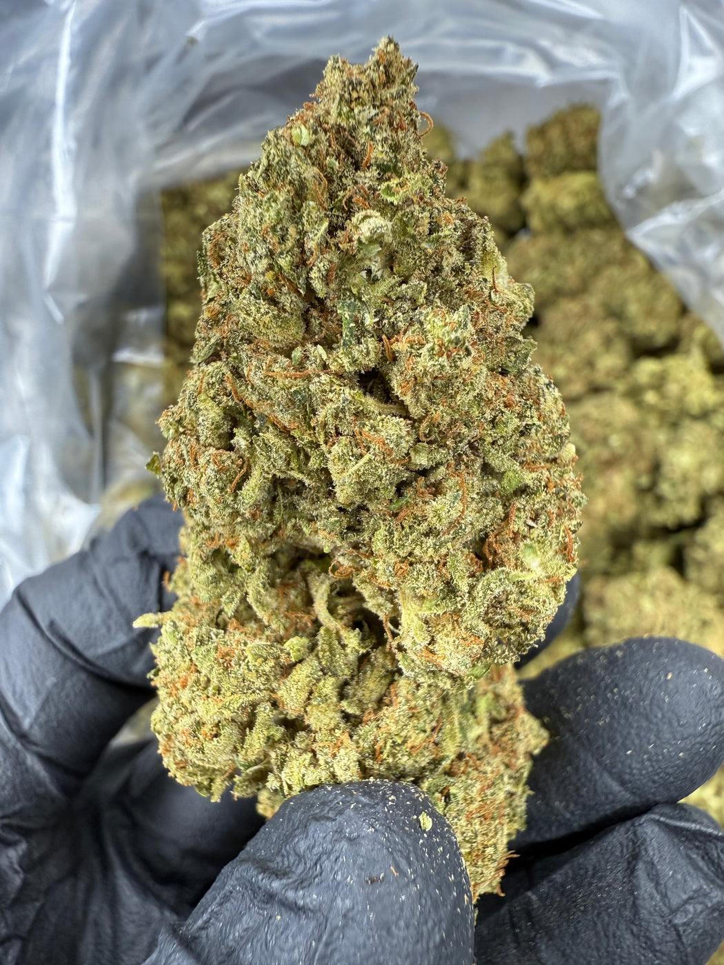 Sour Pez - THCA BULK FLOWER - CLASSIC RESERVE