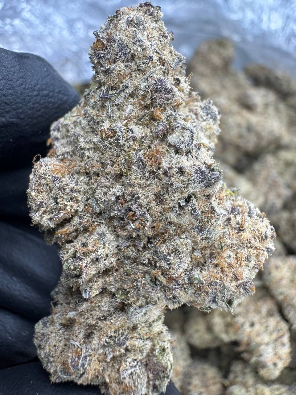Sub Zero - THCA BULK FLOWER - EXOTIC INDOOR