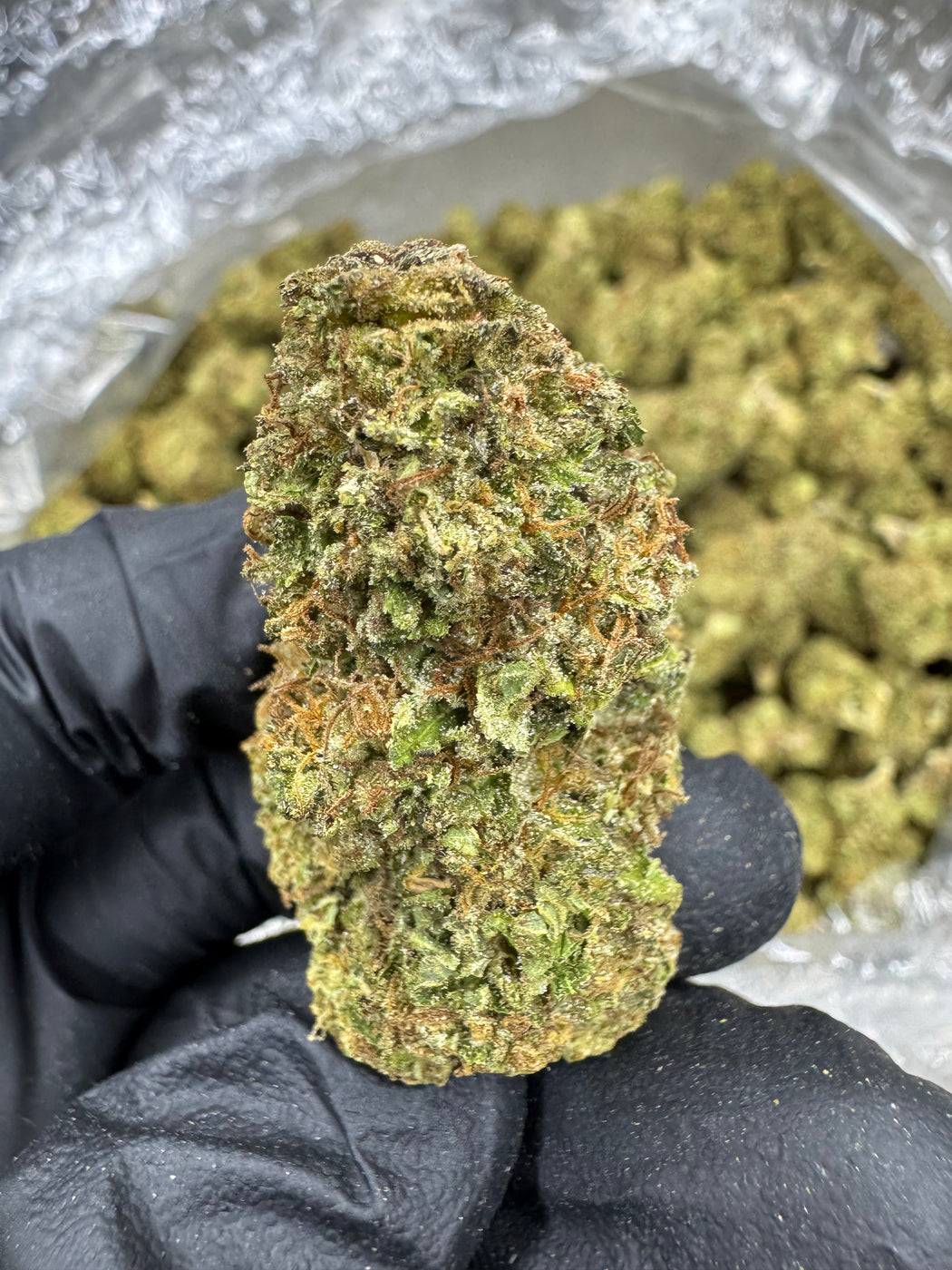 Sunset Sherbet - THCA BULK FLOWER - CLASSIC RESERVE