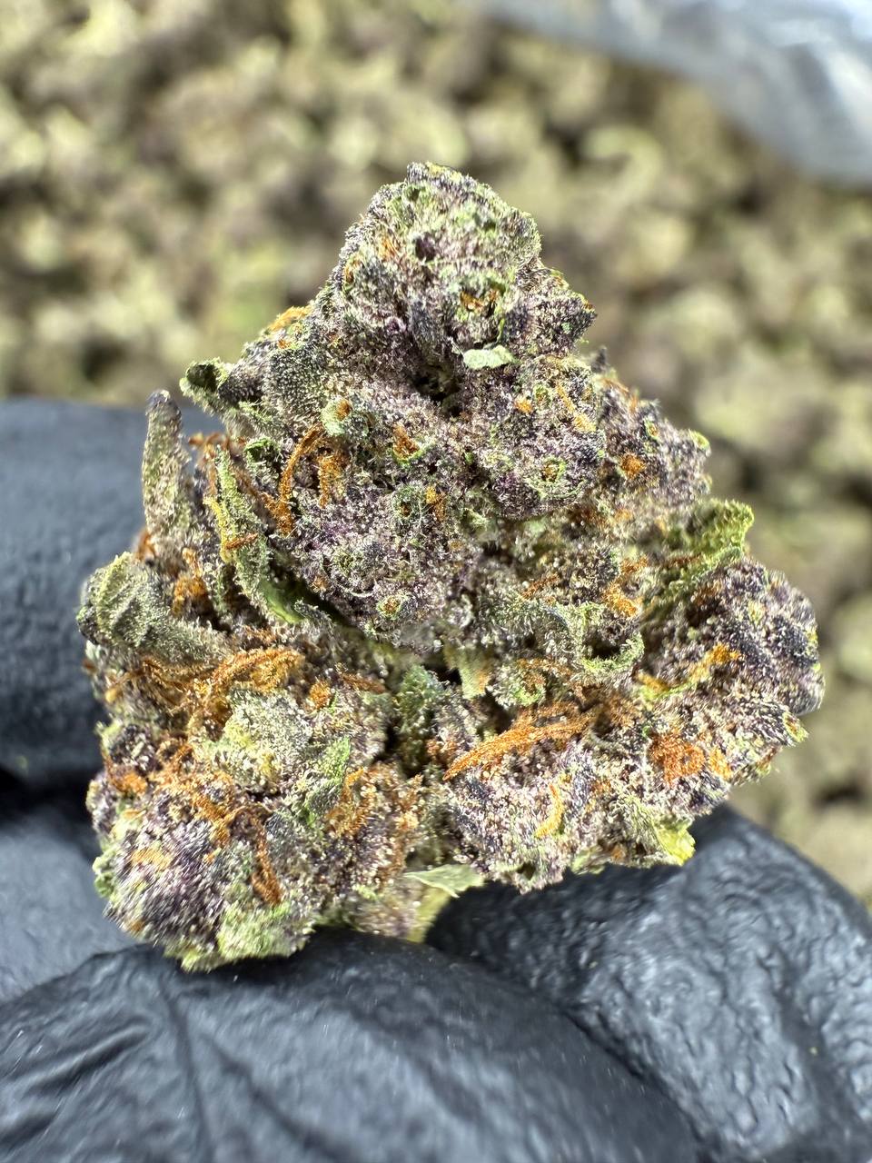 Tropicana Cherry - Gold Nuggets - THCa Flower AA Indoor SMALLS