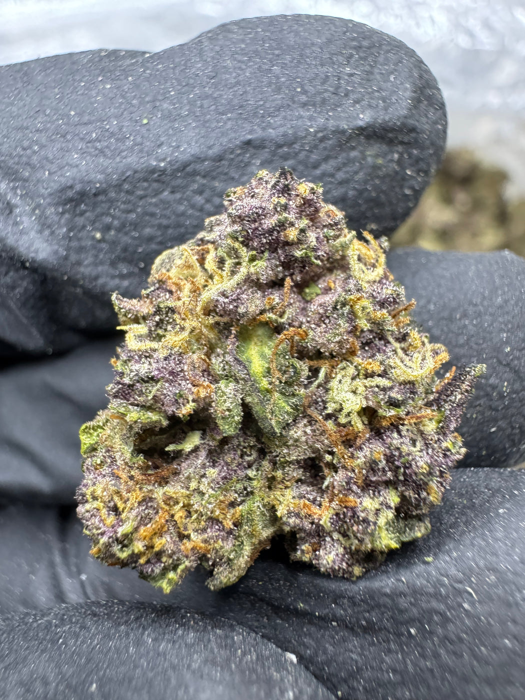 Tropicana Cherry - THCA BULK FLOWER - MEDIUMS - TOP SHELF