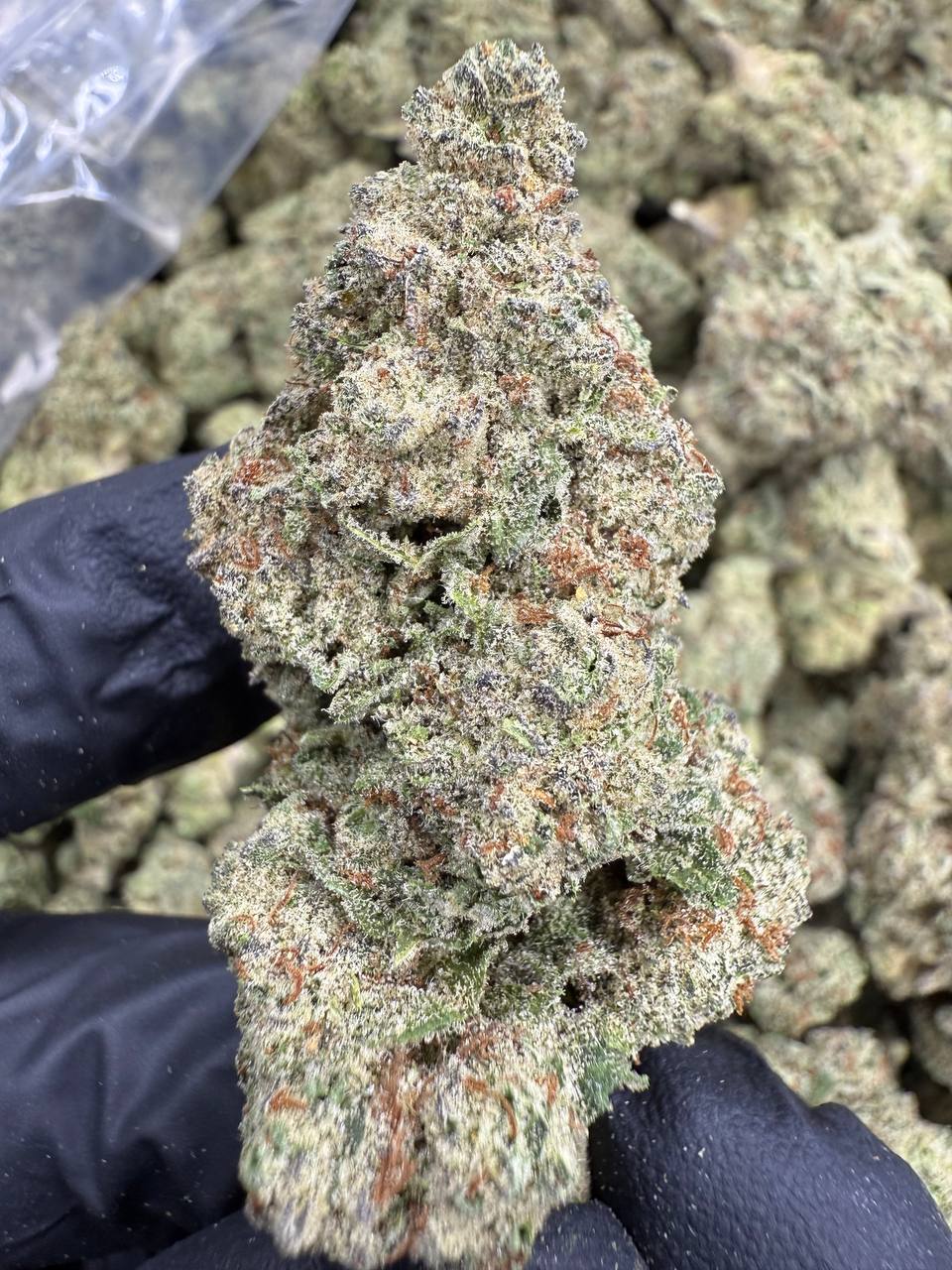 White Widow - THCA BULK FLOWER - AA