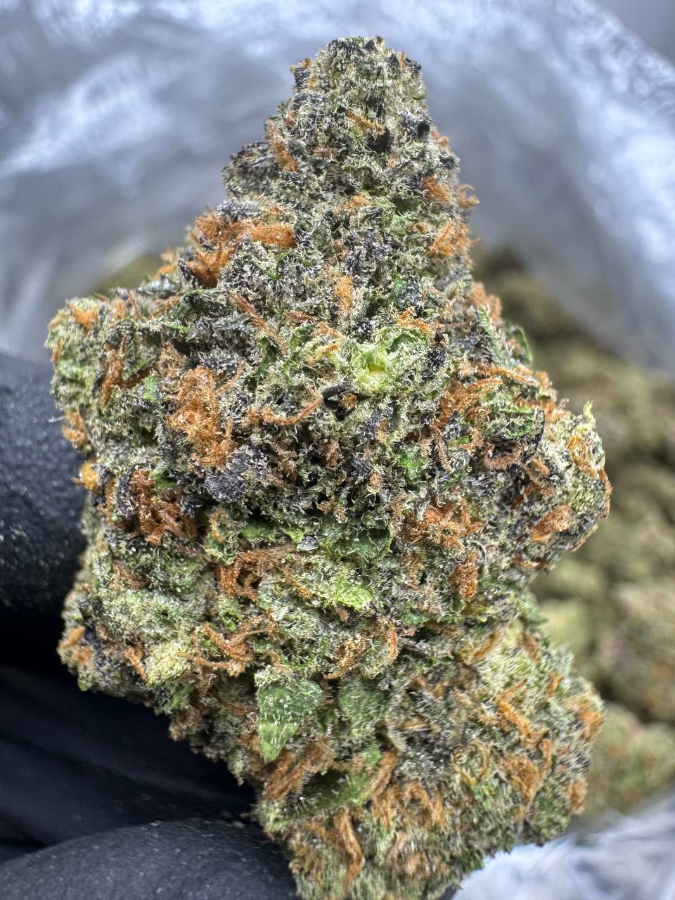 Zoap - THCA BULK FLOWER - EXOTIC INDOOR