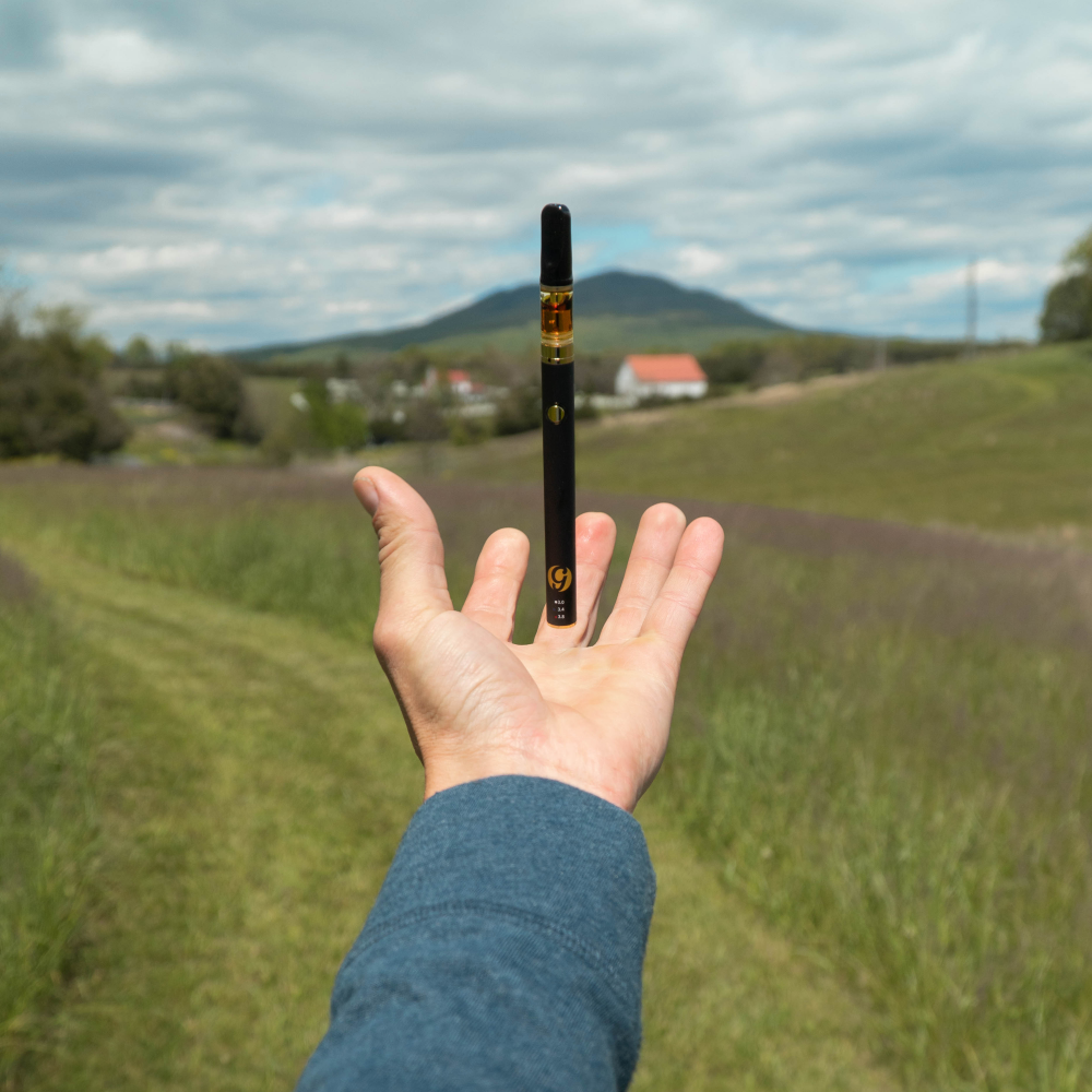 Mint CBD Cartridge: Premium 500mg Vape Option
