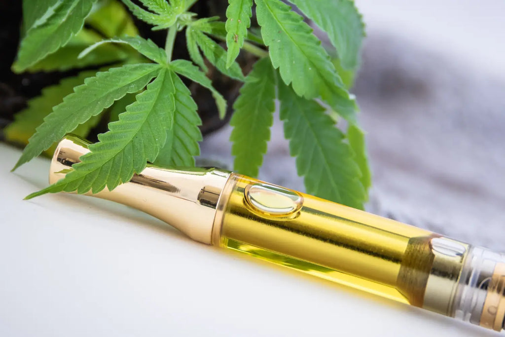 10 Benefits of CBD: Why It’s Gaining Popularity
