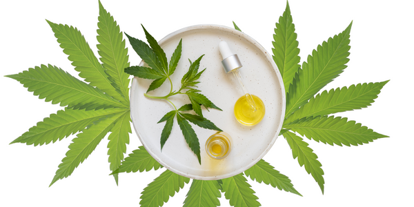 10 Cannabis Strains High in Limonene for a Mood Boost