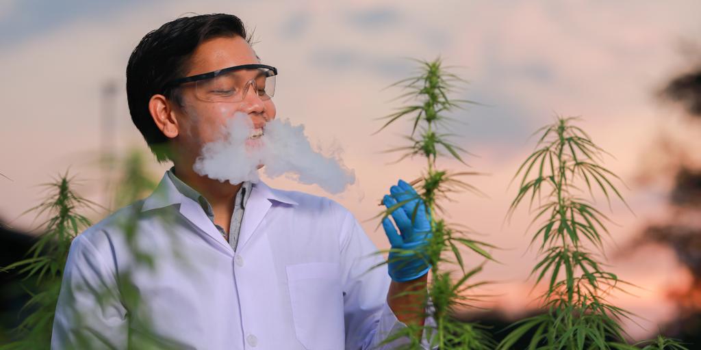 10 Cannabis Strains High in Terpinolene for Energy