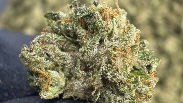 Best THCA Indica Flower