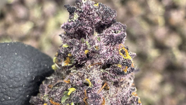 Best THCA Ounces