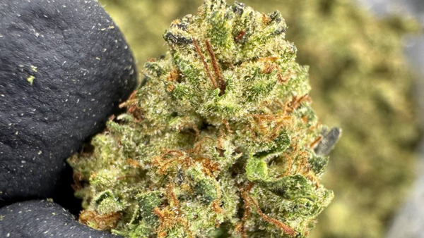 Best THCA Sativa Flower