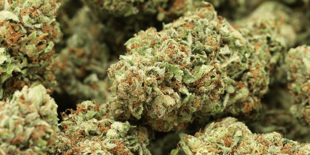 Does THCA Smell Like Weed