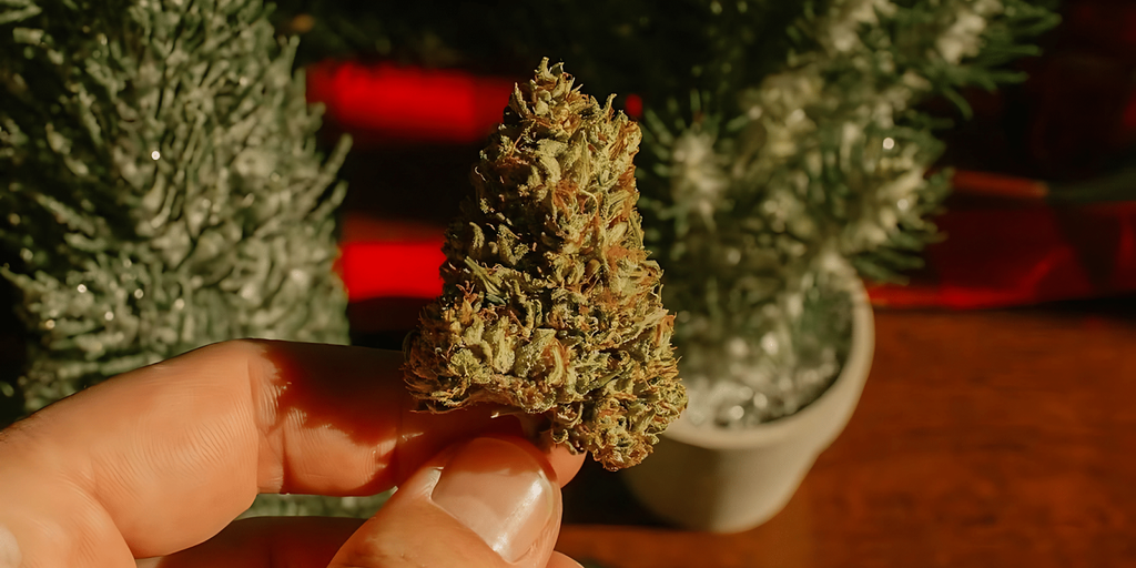 How Is THCP Flower Made?