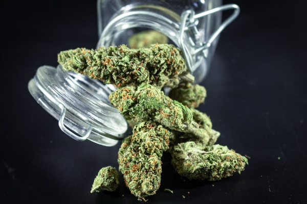 Premium hemp flower spilling from a glass jar, the starting material for dark static hash extraction.