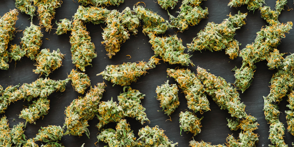 Small Buds Vs. Big Buds: Is There A Difference In Potency?