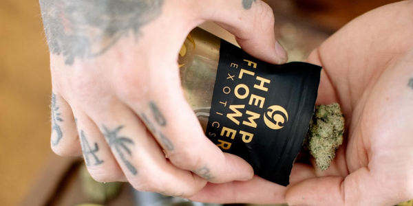 Top 8 Cheapest THCA Flower Brands in 2025  Expert Reviews