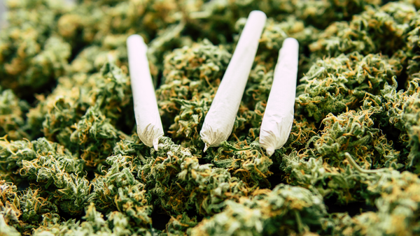 Turning THCA Trim into Treasure