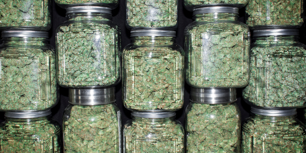Top THCA Strains & Their Effects