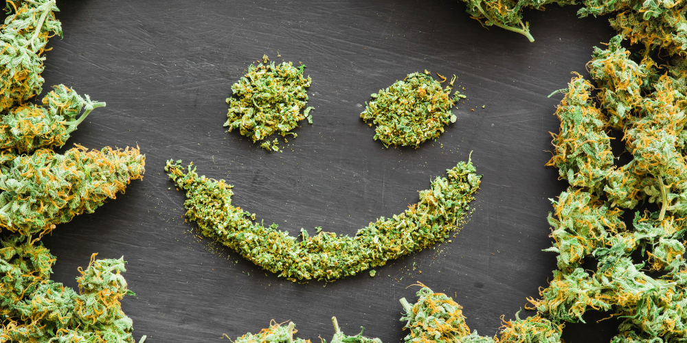 The Art of Consumption: Different Ways to Enjoy THCA Flower