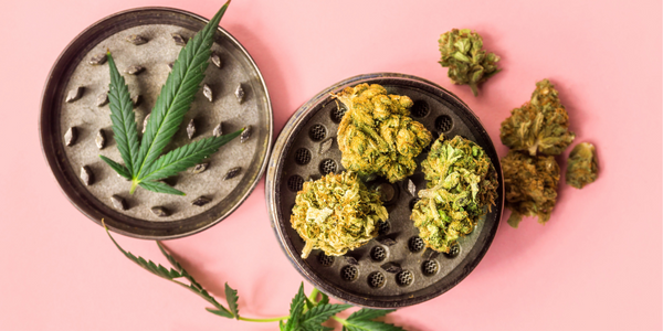 THCA Flower for Anxiety and Stress: A Natural Solution Worth Considering