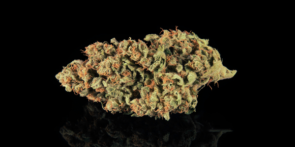 Will THCA Flower Get You High? Understanding the Effects of This Cannabinoid