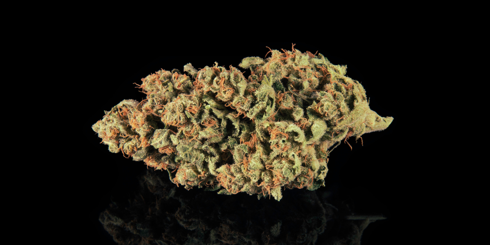 Will THCA Flower Get You High? Understanding the Effects of This Cannabinoid